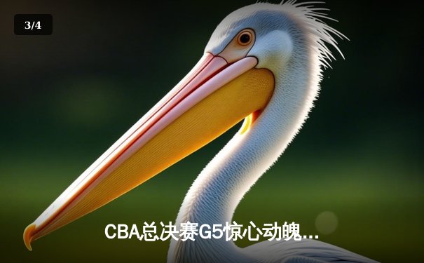 CBA总决赛G5惊心动魄，辽宁男篮加时险胜广东夺赛点 - 3